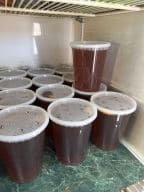 Best Sweet Tea in North Chesterfield, VA